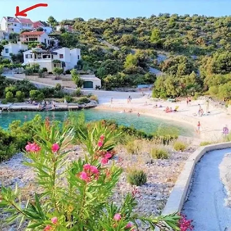 Anica Sevid